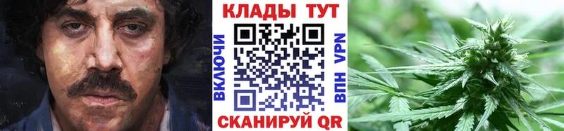 Виды наркотиков купить Старая Купавна Alpha PVP  Марихуана  АМФ  Мефедрон  Гашиш  Кокаин 