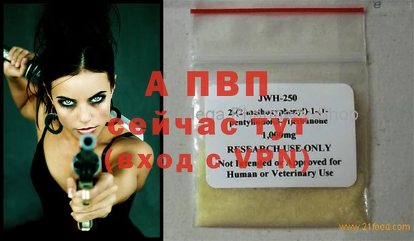 a pvp Корсаков