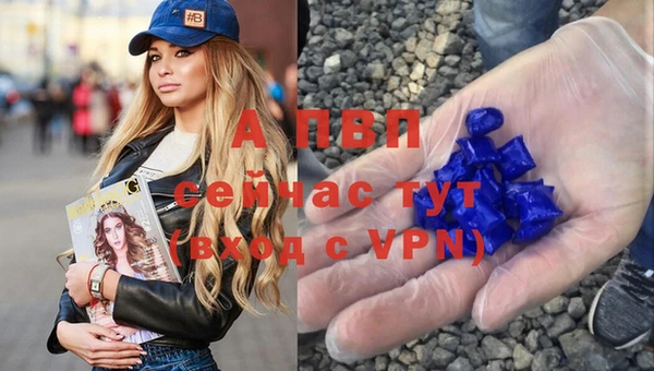 a pvp Корсаков